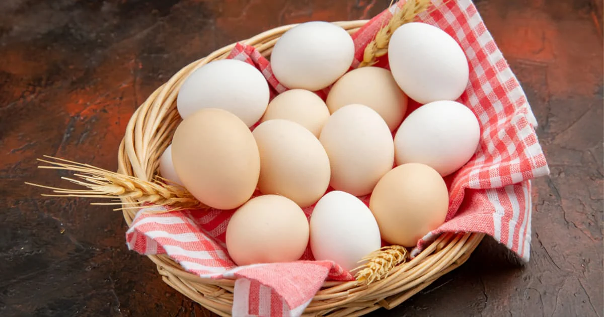 بيض دجاج محلي